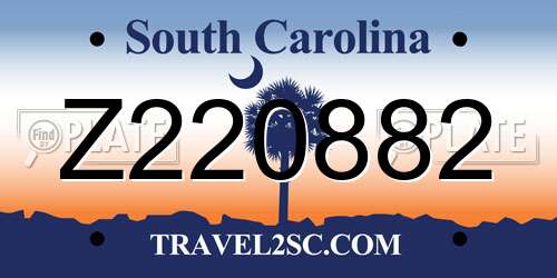 Z220882 South Carolina License Plate