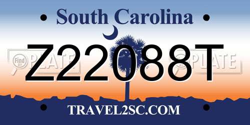 Z22088T South Carolina License Plate