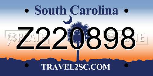 Z220898 South Carolina License Plate