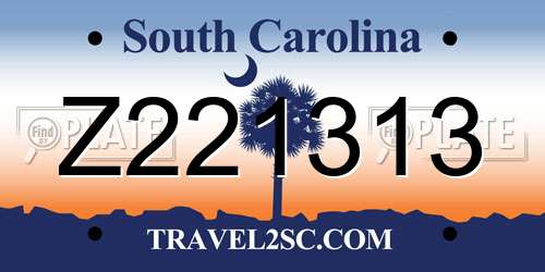 Z221313 South Carolina License Plate