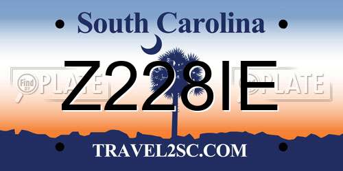 Z228IE South Carolina License Plate