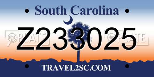 Z233025 South Carolina License Plate