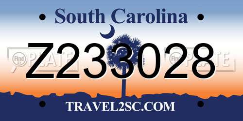 Z233028 South Carolina License Plate
