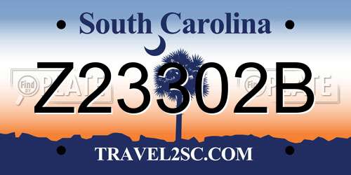 Z23302B South Carolina License Plate