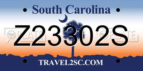 Z23302S South Carolina License Plate