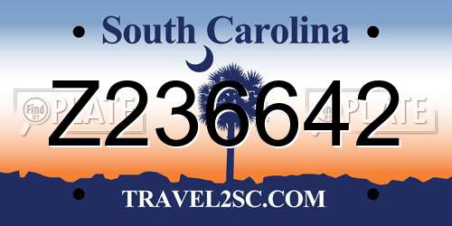 Z236642 South Carolina License Plate