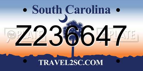 Z236647 South Carolina License Plate