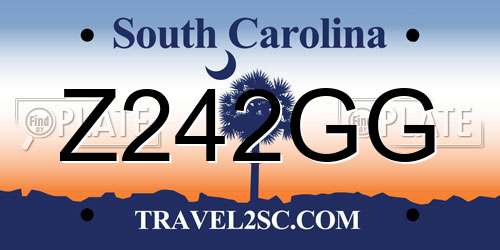 Z242GG South Carolina License Plate