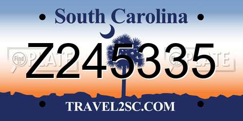 Z245335 South Carolina License Plate