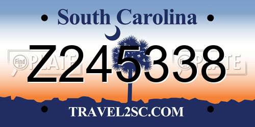 Z245338 South Carolina License Plate