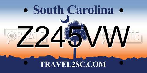 Z245VW South Carolina License Plate