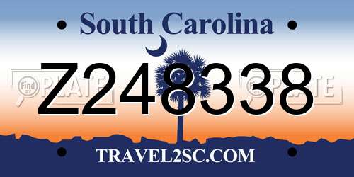 Z248338 South Carolina License Plate