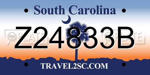 Z24833B South Carolina License Plate