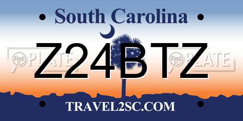 Z24BTZ South Carolina License Plate