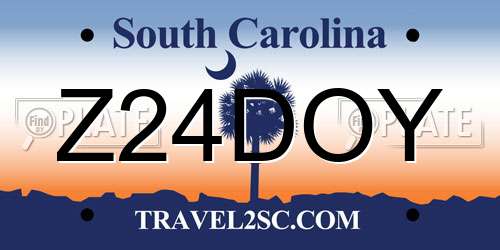 Z24DOY South Carolina License Plate