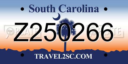 Z250266 South Carolina License Plate