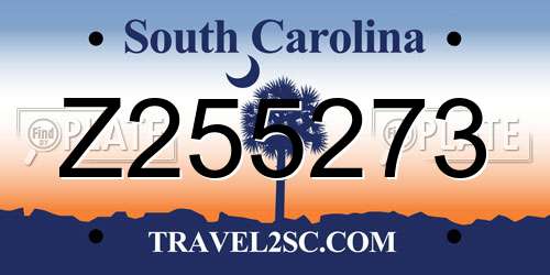 Z255273 South Carolina License Plate