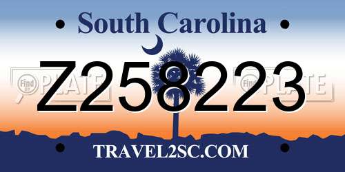 Z258223 South Carolina License Plate