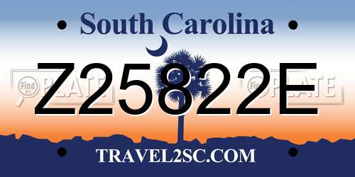 Z25822E South Carolina License Plate