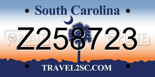 Z258723 South Carolina License Plate