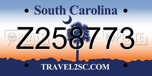 Z258773 South Carolina License Plate