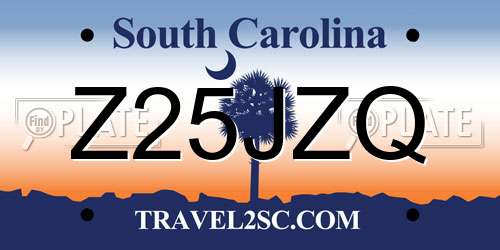 Z25JZQ South Carolina License Plate