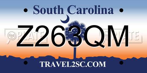 Z263QM South Carolina License Plate