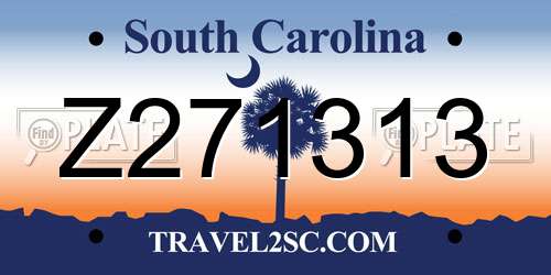 Z271313 South Carolina License Plate