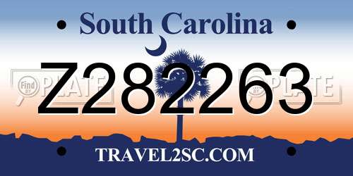 Z282263 South Carolina License Plate
