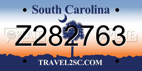 Z282763 South Carolina License Plate