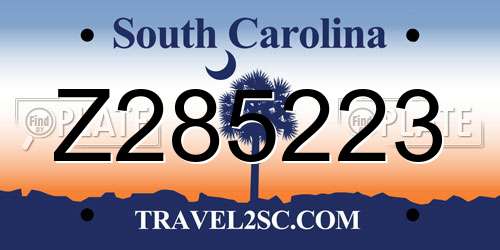 Z285223 South Carolina License Plate