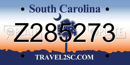 Z285273 South Carolina License Plate