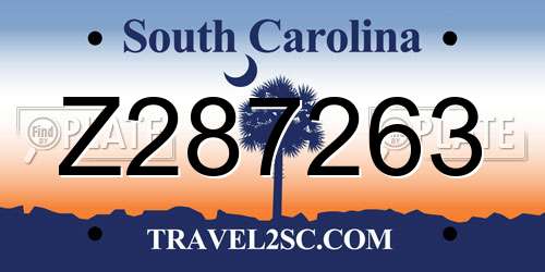 Z287263 South Carolina License Plate