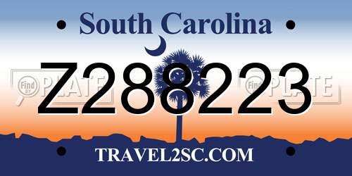 Z288223 South Carolina License Plate
