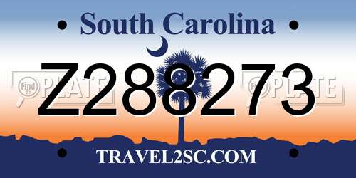 Z288273 South Carolina License Plate