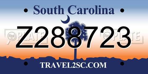 Z288723 South Carolina License Plate