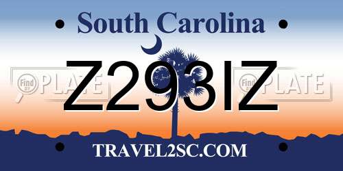 Z293IZ South Carolina License Plate