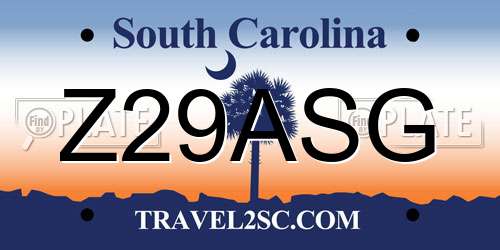 Z29ASG South Carolina License Plate