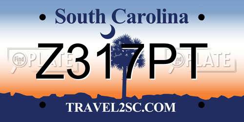 Z317PT South Carolina License Plate