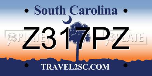 Z317PZ South Carolina License Plate