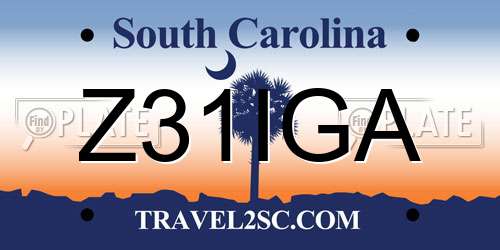 Z31IGA South Carolina License Plate