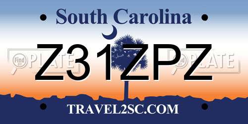 Z31ZPZ South Carolina License Plate
