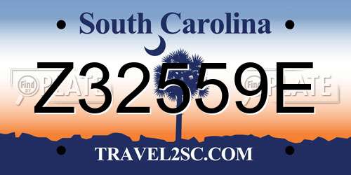 Z32559E South Carolina License Plate