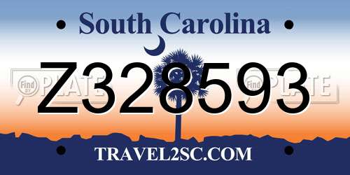Z328593 South Carolina License Plate