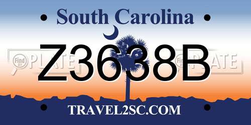 Z3638B South Carolina License Plate