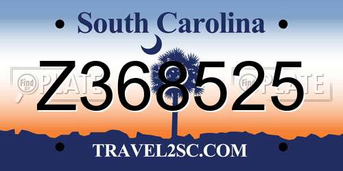 Z368525 South Carolina License Plate