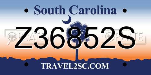 Z36852S South Carolina License Plate