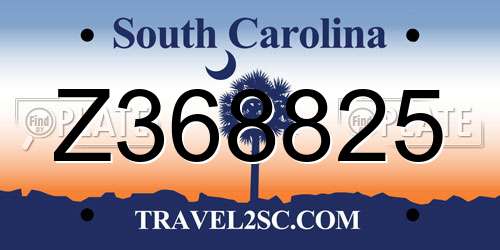 Z368825 South Carolina License Plate