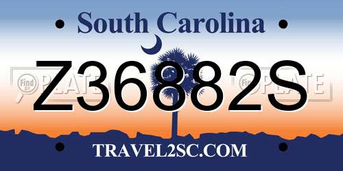 Z36882S South Carolina License Plate