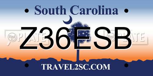 Z36ESB South Carolina License Plate